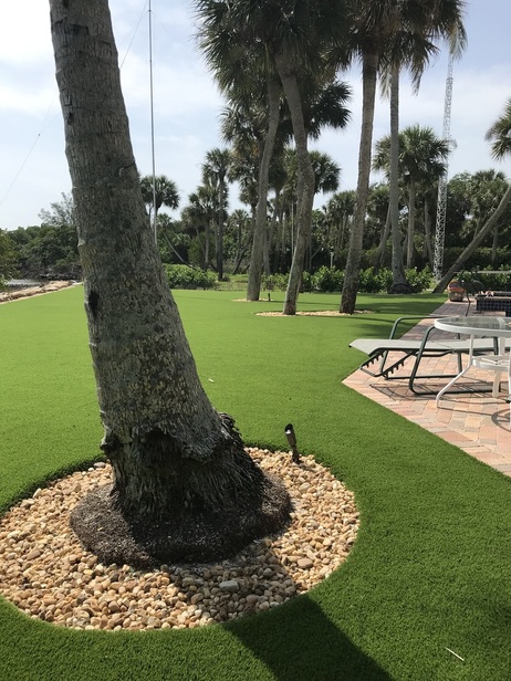 sewalls-point-florida-pool-yard-landscaping