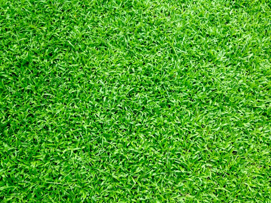 correct way to lay artificial grass