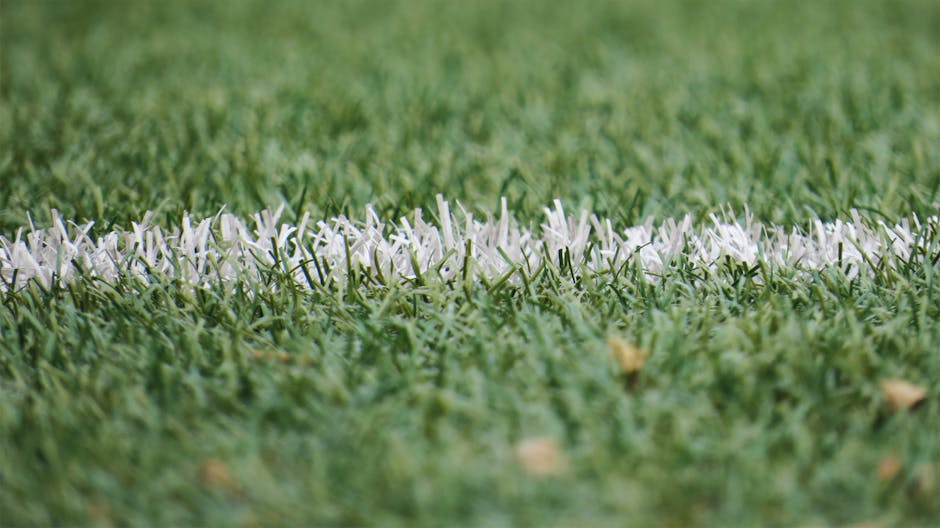 artificial grass cleaning boca raton