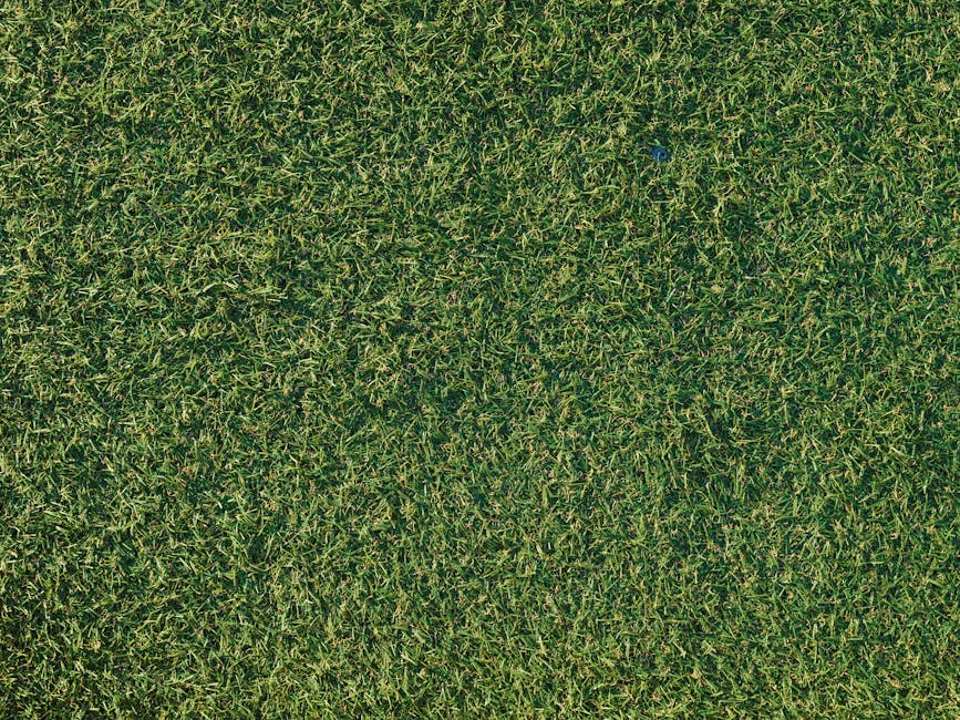 Pet turf installation
