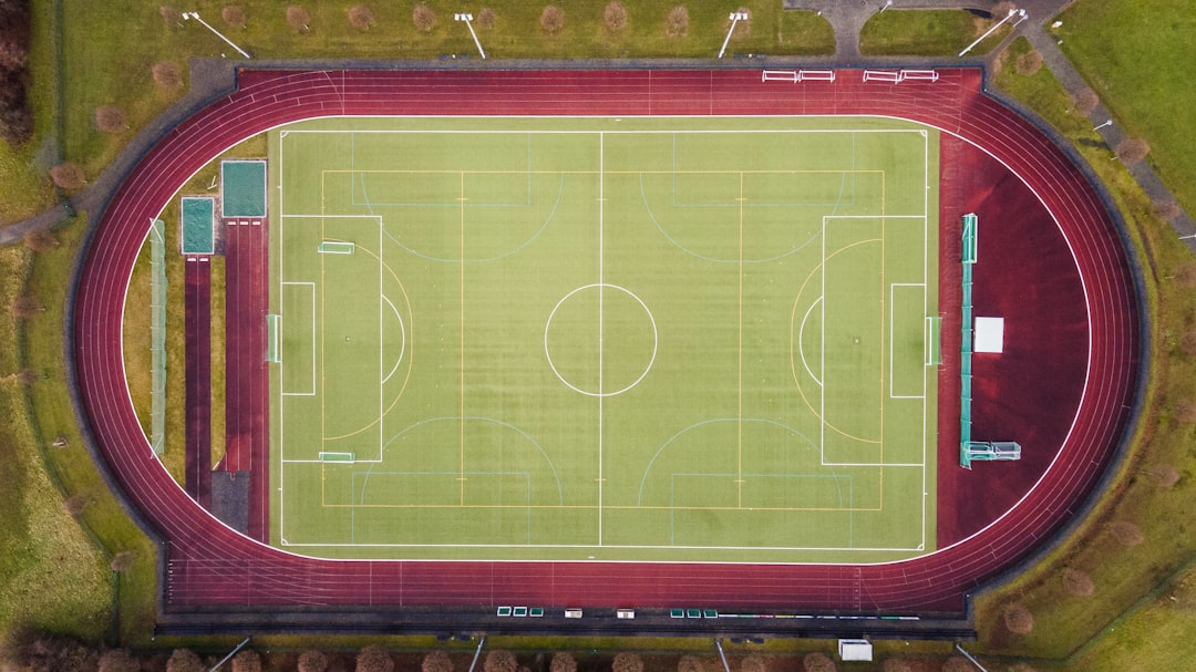 artificial grass for sports
