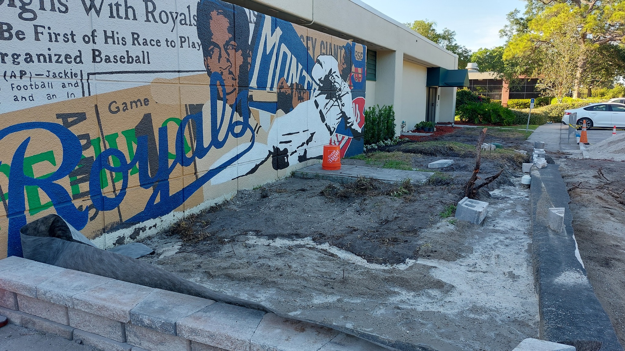 Commercial Turf Before