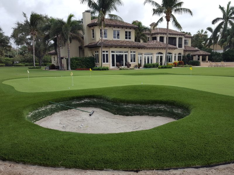 Backyard Putting Green